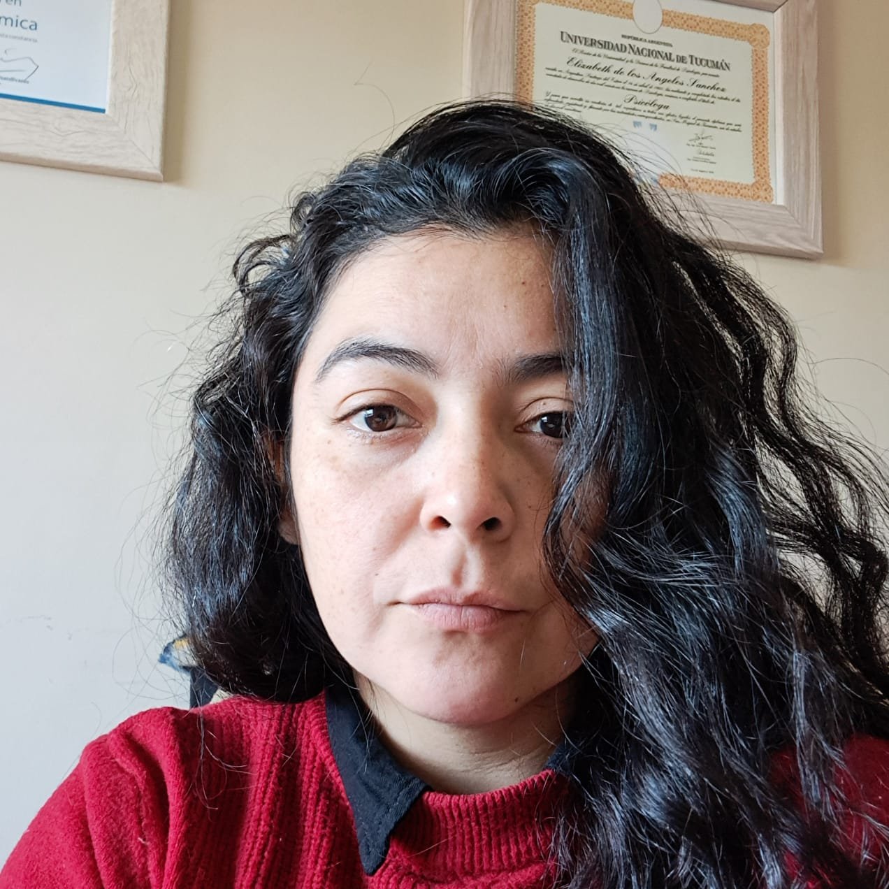 Psicóloga/o Lic. Elizabeth Sanchez