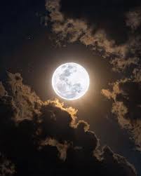 Psicóloga Karina Martìnez