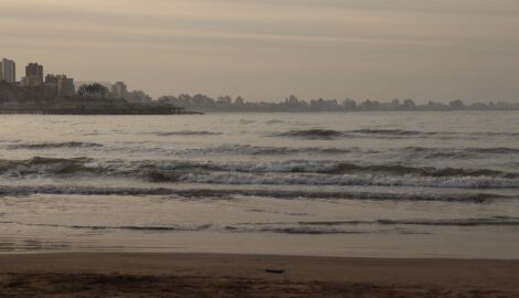 Psicólogos en Rosario: precios y cómo elegir bien